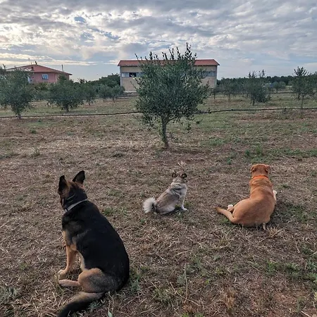 Apartamento Casa Rurale *